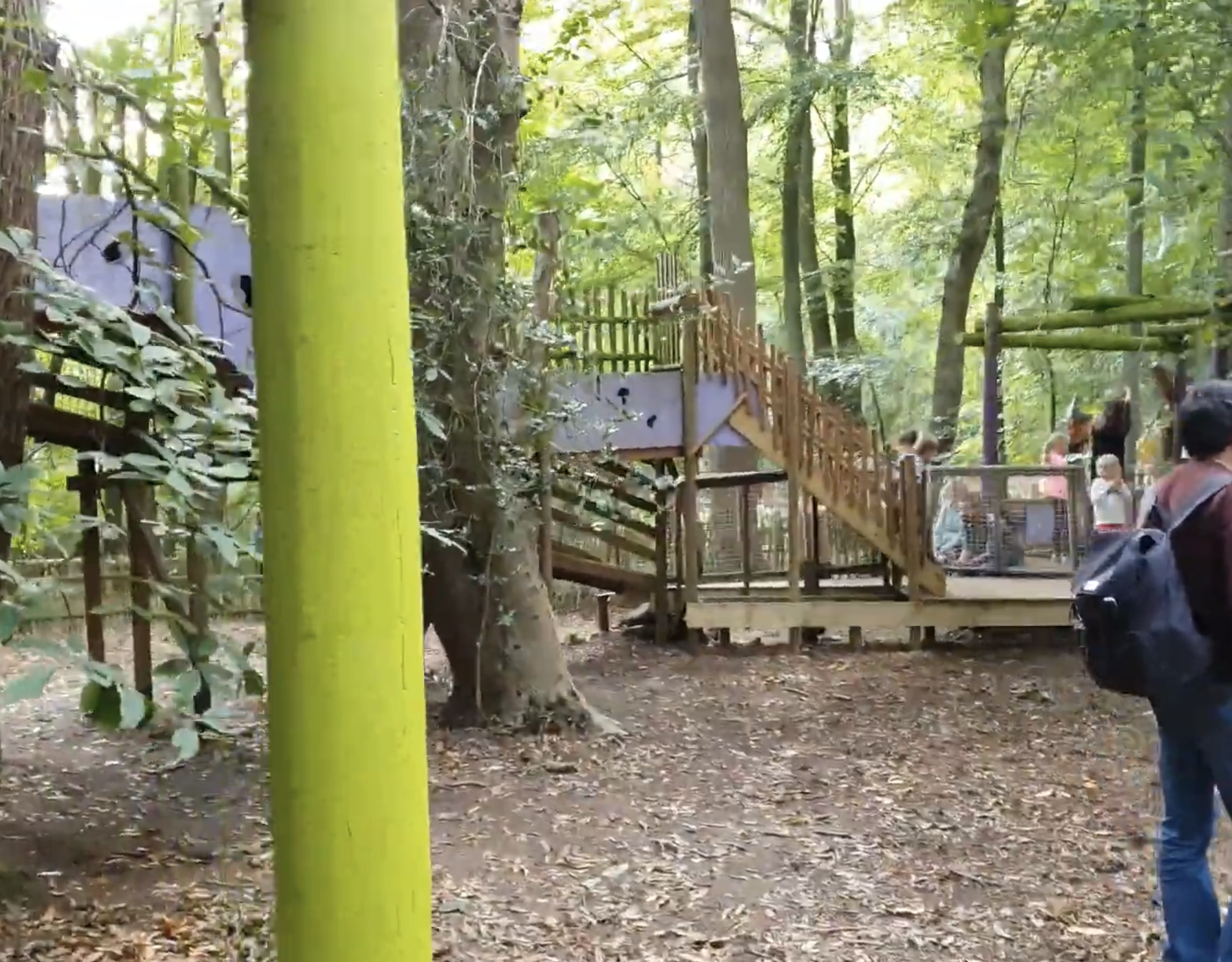 Bewilderwood
